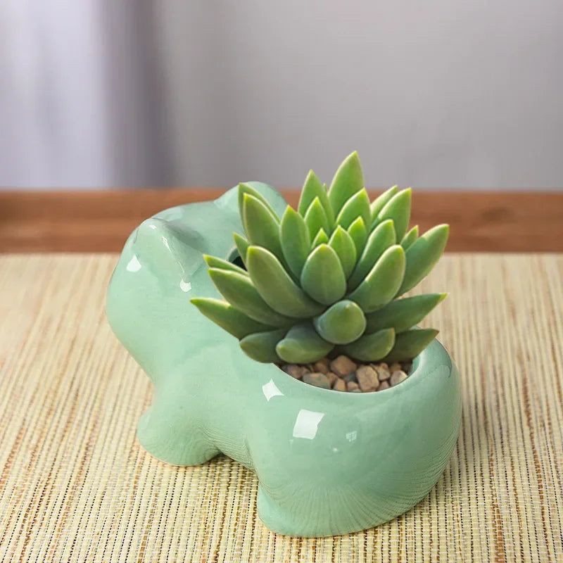 Cute Ceramic Mini Succulent Planter with Drainage