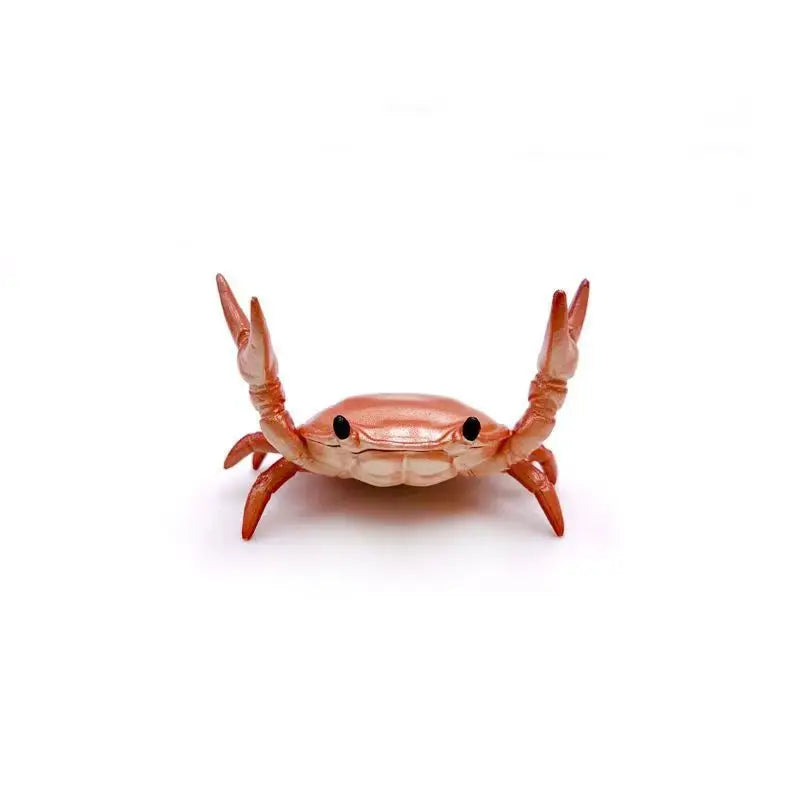 Crab Desktop Pen Holder - Cute Stationery Stand – Red